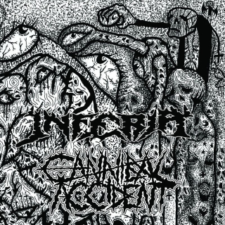 CANNIBAL ACCIDENT & INFERIA split LP